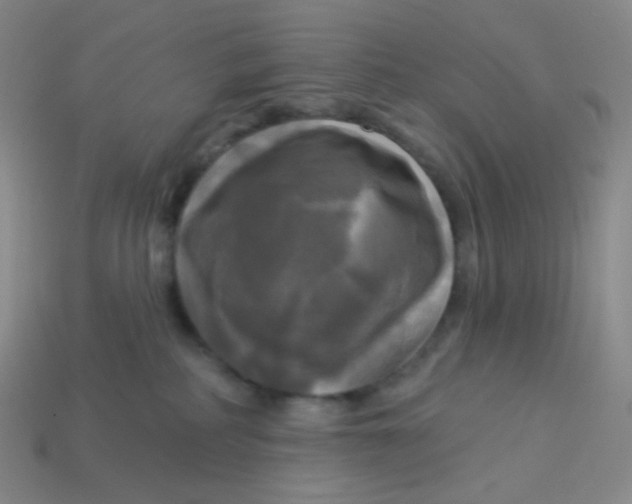 X0000113300234200910131053