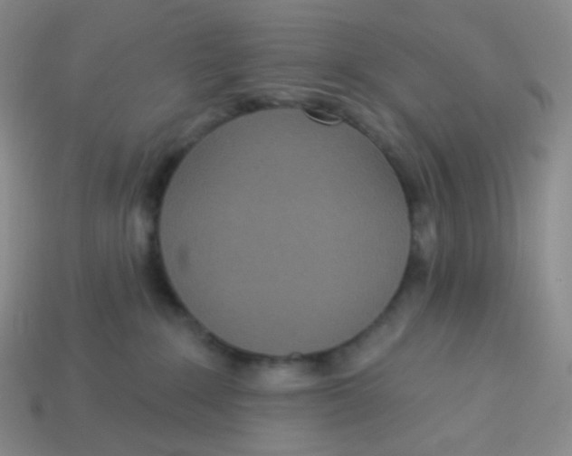 X0000113300235200910131053