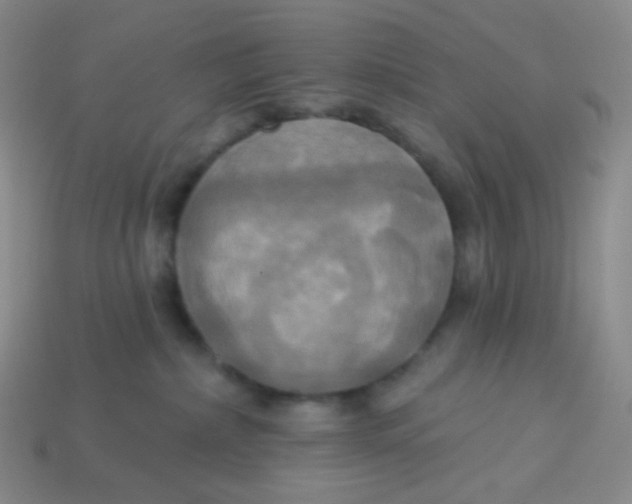 X0000113300236200910131053