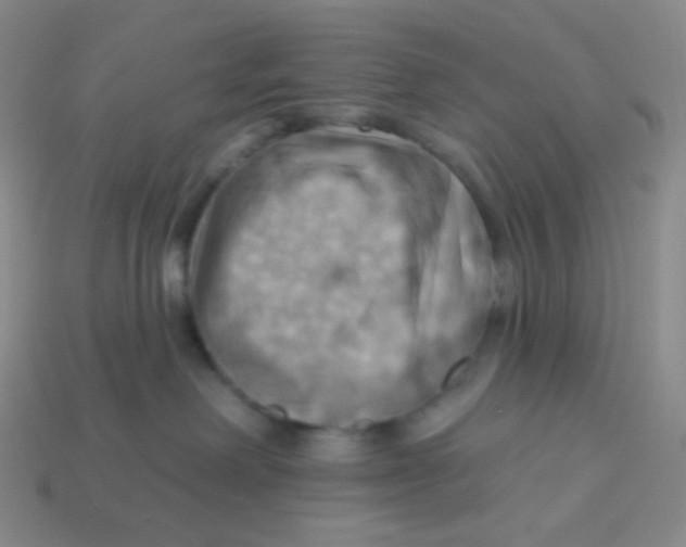 X0000113300238200910131053