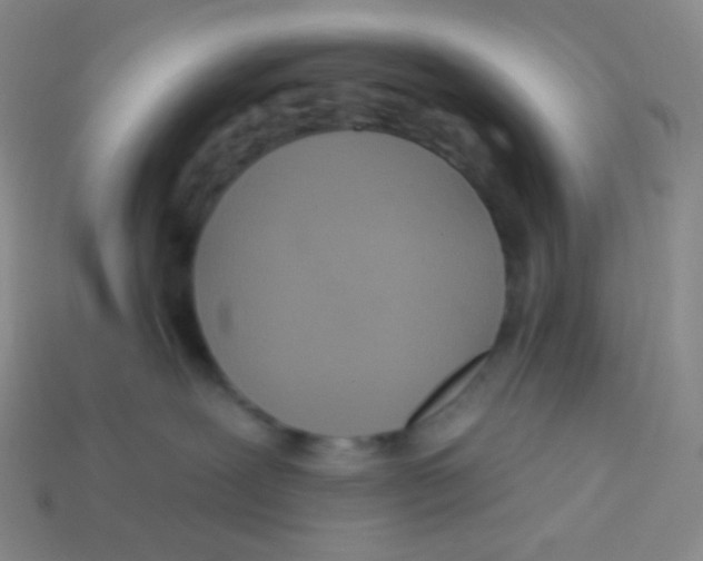 X0000113300239200910131053