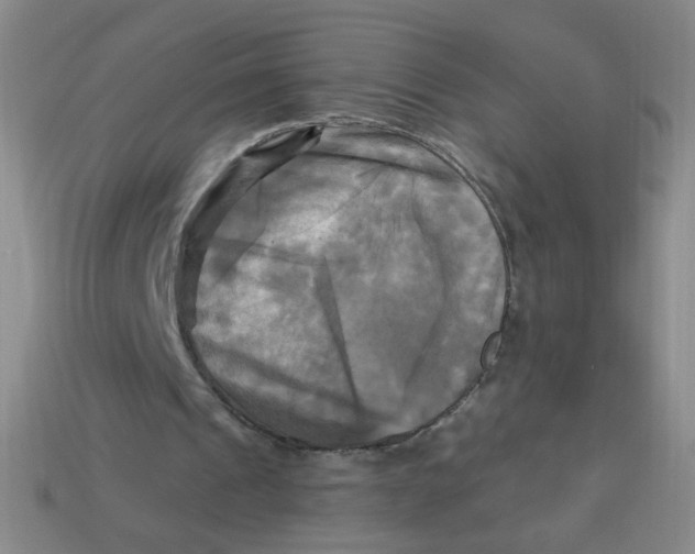 X0000113300241200910131053