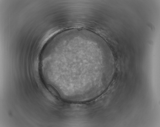X0000113300242200910131053