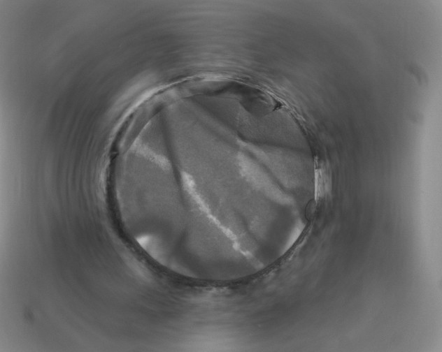 X0000113300243200910131053