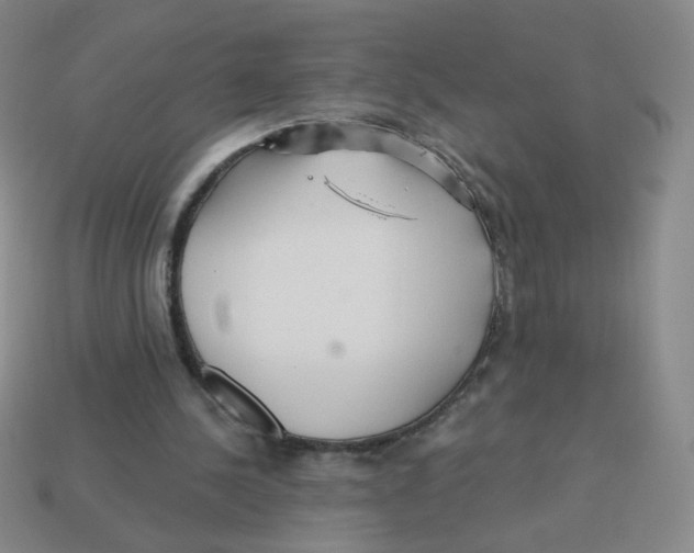 X0000113300244200910131053