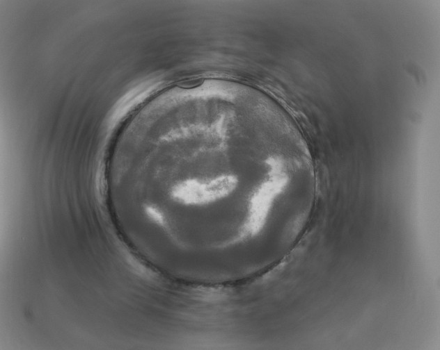 X0000113300245200910131053