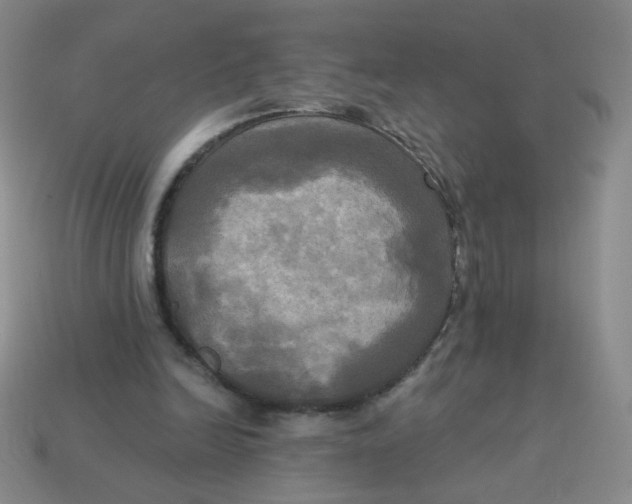 X0000113300246200910131053