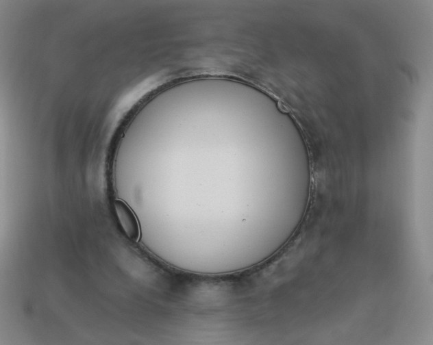 X0000113300248200910131053