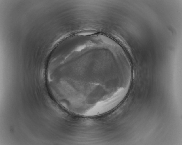 X0000113300249200910131053