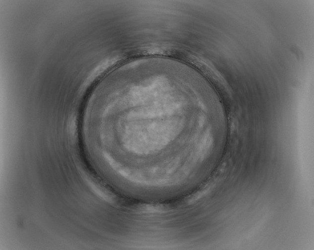 X0000113300250200910131053
