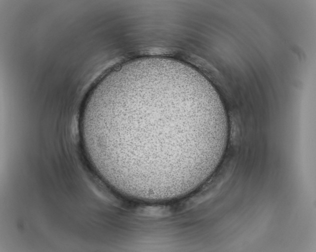 X0000113300251200910131053