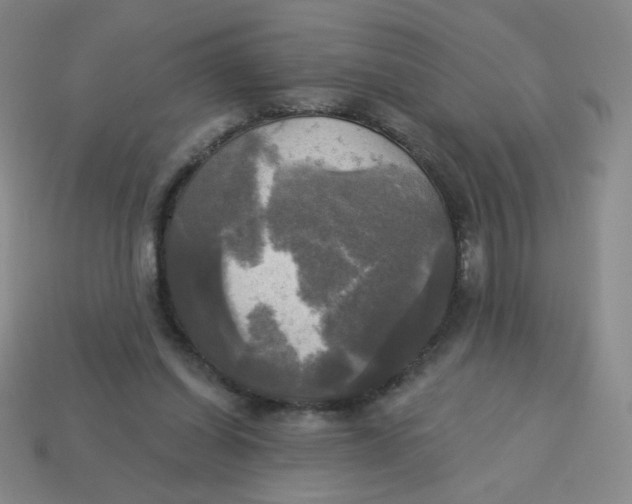 X0000113300254200910131053