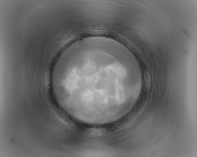 X0000113300255200910131053