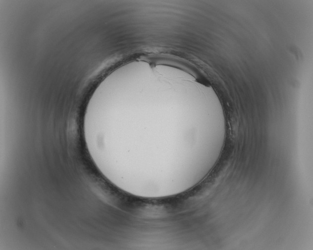 X0000113300256200910131053