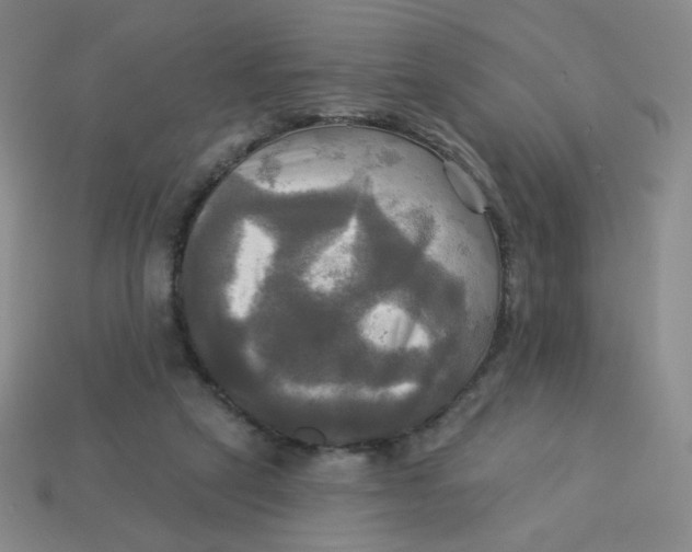 X0000113300257200910131053