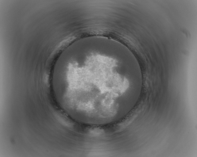 X0000113300258200910131053