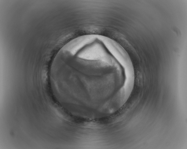X0000113300259200910131053