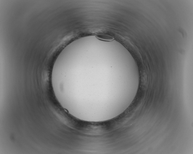 X0000113300260200910131053