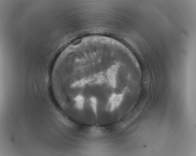 X0000113300261200910131053