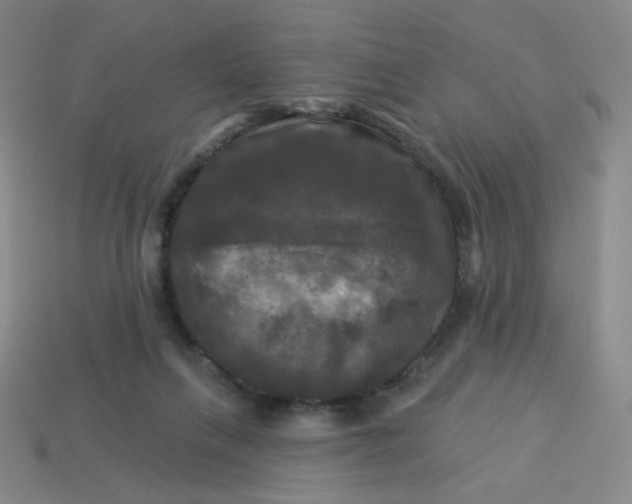 X0000113300263200910131053