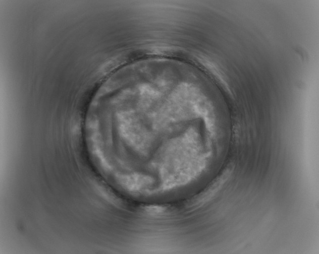 X0000113300265200910131053