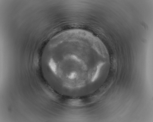X0000113300266200910131053