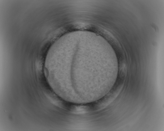 X0000113300268200910131053