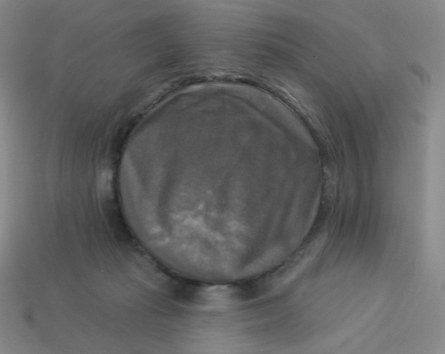 X0000113300269200910131053
