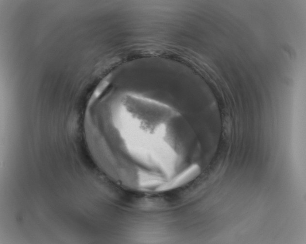 X0000113300270200910131053