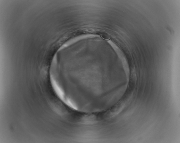 X0000113300271200910131053