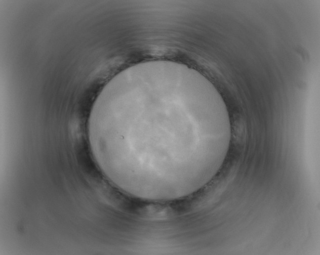 X0000113300272200910131053