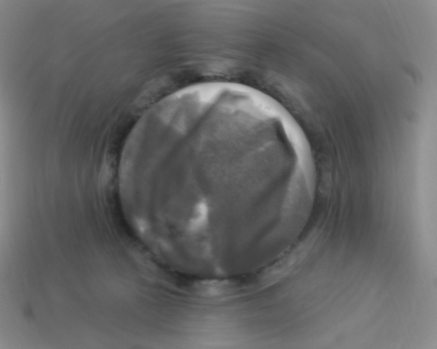 X0000113300273200910131053