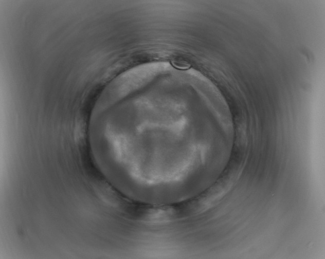 X0000113300274200910131053