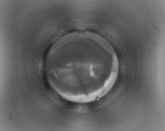X0000113300275200910131053