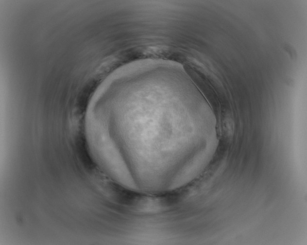 X0000113300276200910131053
