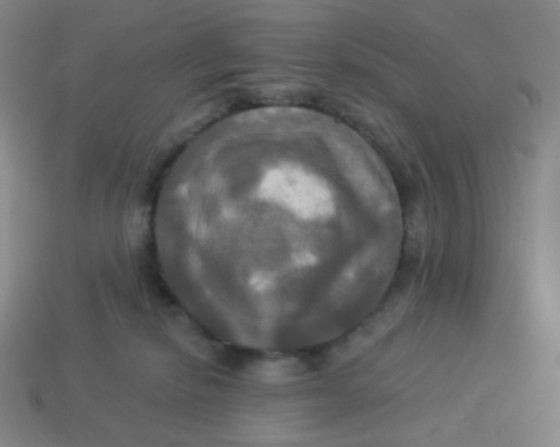 X0000113300278200910131053