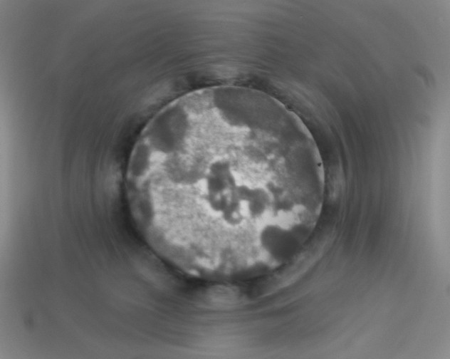 X0000113300279200910131053