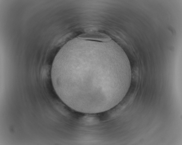 X0000113300280200910131053
