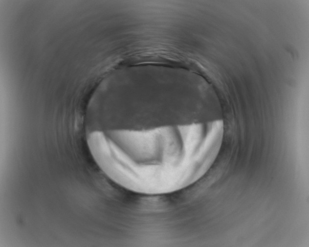 X0000113300281200910131053