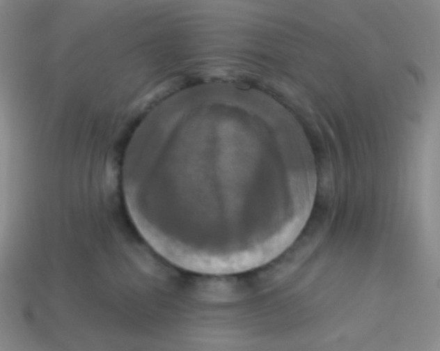 X0000113300282200910131053