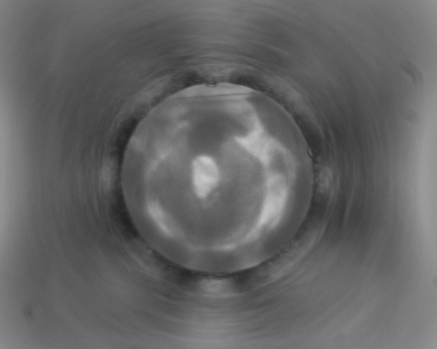 X0000113300283200910131053