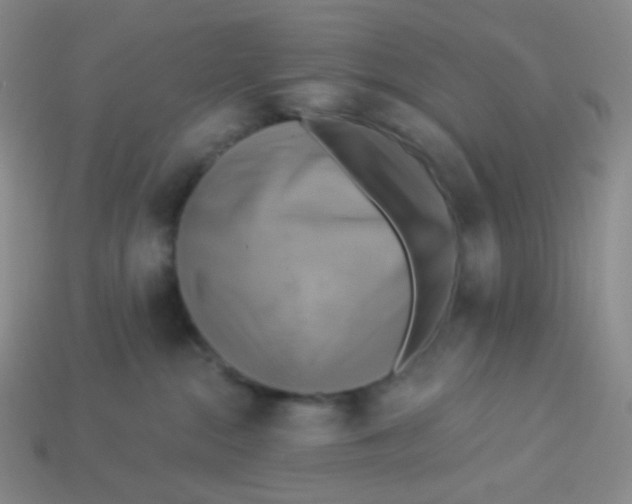 X0000113300284200910131053