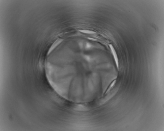 X0000113300285200910131053