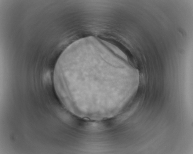 X0000113300286200910131053