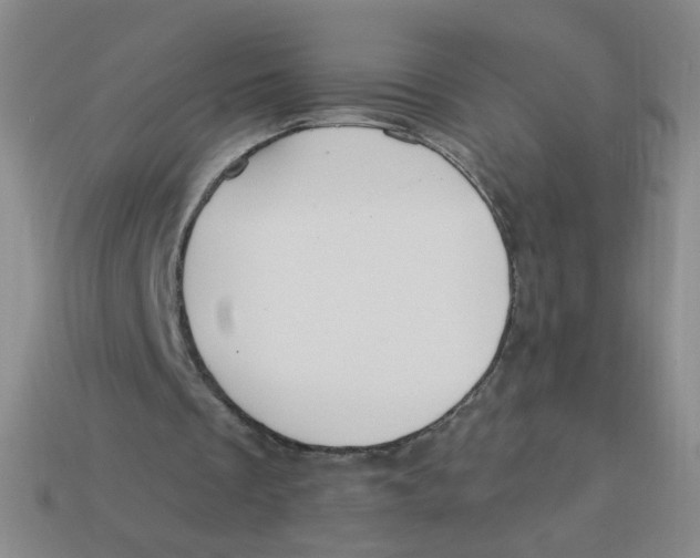 X0000113300289200910131053