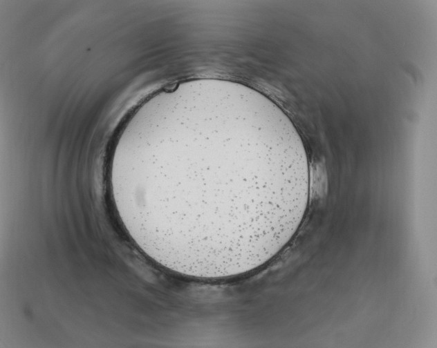 X0000113300291200910131053