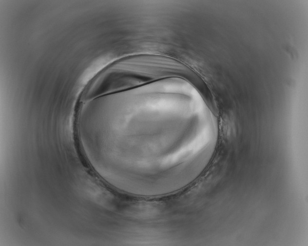 X0000113300292200910131053