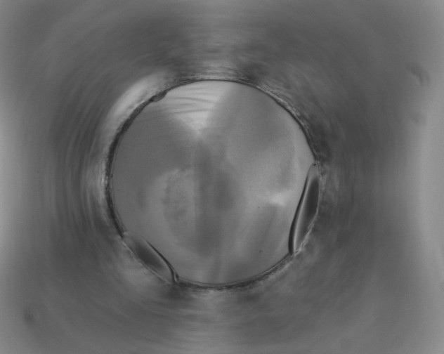 X0000113300293200910131053