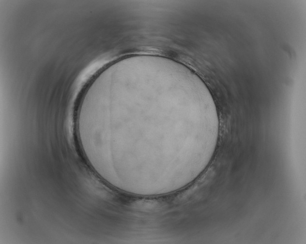 X0000113300294200910131053