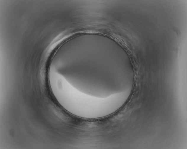 X0000113300295200910131053
